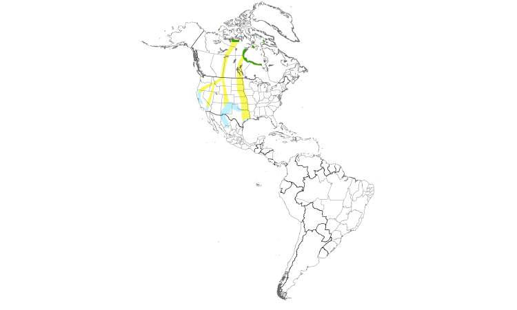 Range Map (Americas): Ross's Goose