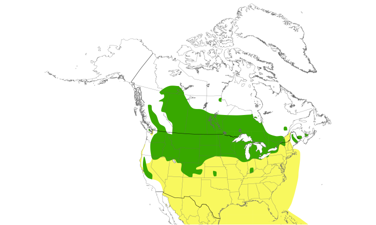 Range Map (North): Black Tern