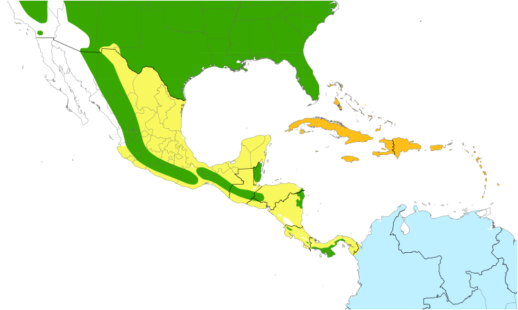 Range Map (Central): Common Nighthawk