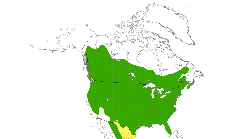 Range Map (North): Common Nighthawk