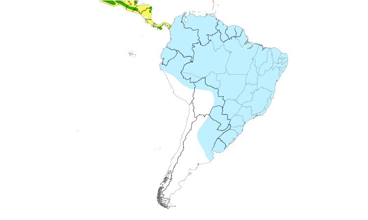 Range Map (South): Common Nighthawk
