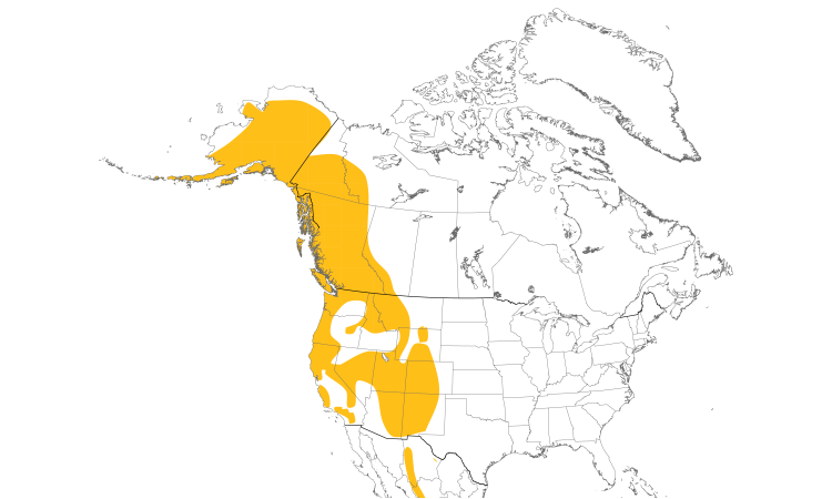 Range Map (North): American Dipper