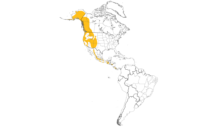 Range Map (Americas): American Dipper