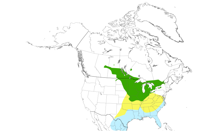 Range Map (North): Sedge Wren
