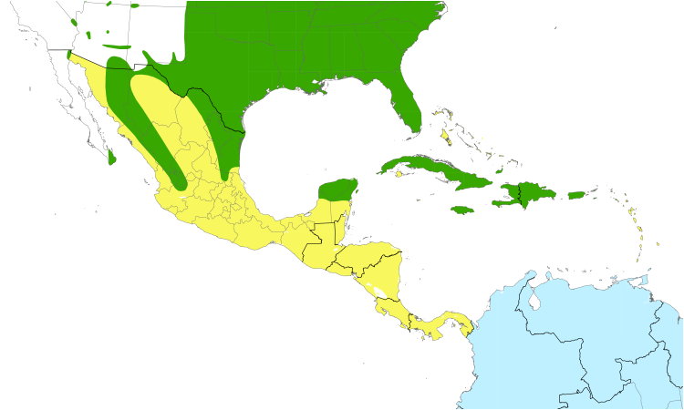 Range Map (Central): Yellow-billed Cuckoo