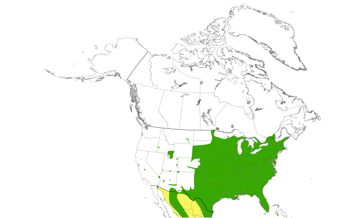 Range Map (North): Yellow-billed Cuckoo