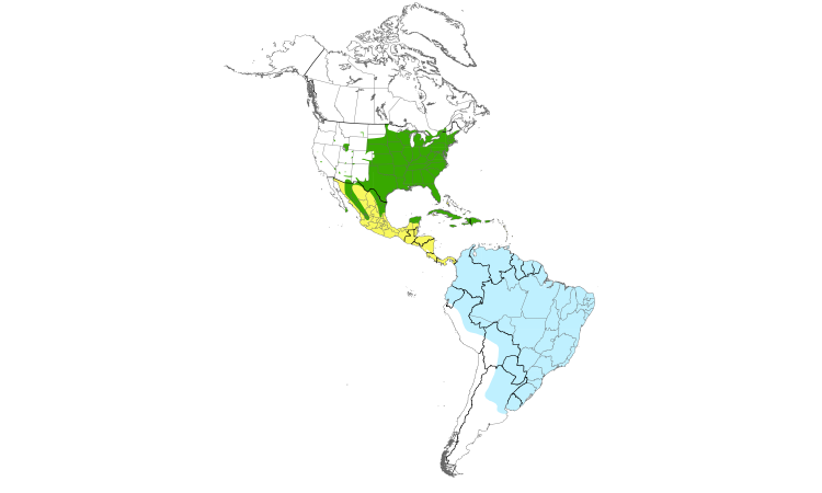Range Map (Americas): Yellow-billed Cuckoo