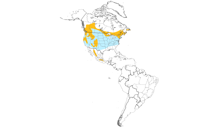 Range Map (Americas): Evening Grosbeak