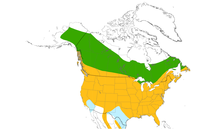 Range Map (North): Northern Flicker