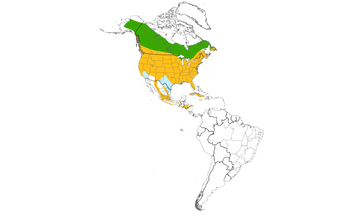 Range Map (Americas): Northern Flicker