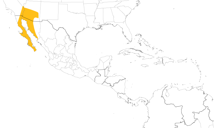 Range Map (Central): Gilded Flicker