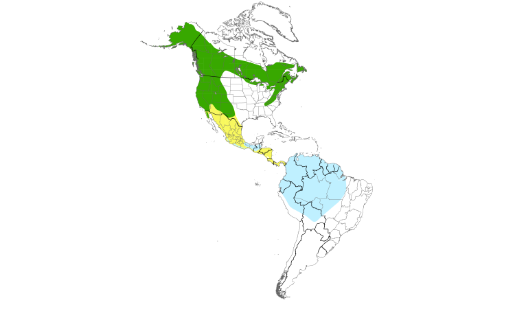 Range Map (Americas): Olive-sided Flycatcher