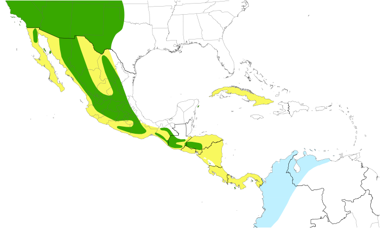 Range Map (Central): Western Wood-Pewee