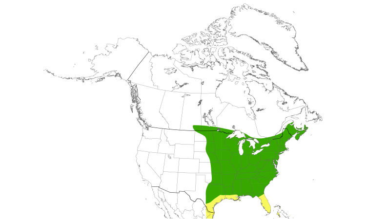 Range Map (North): Eastern Wood-Pewee