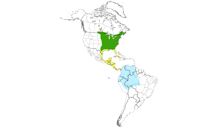 Range Map (Americas): Eastern Wood-Pewee