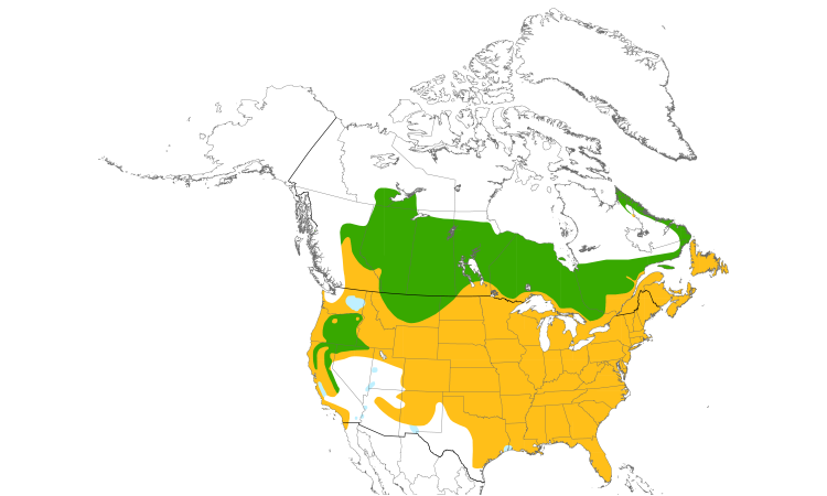 Range Map (North): American Crow