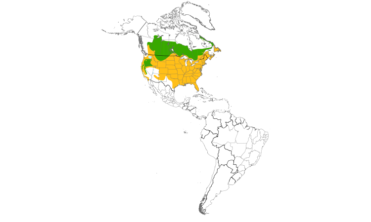 Range Map (Americas): American Crow