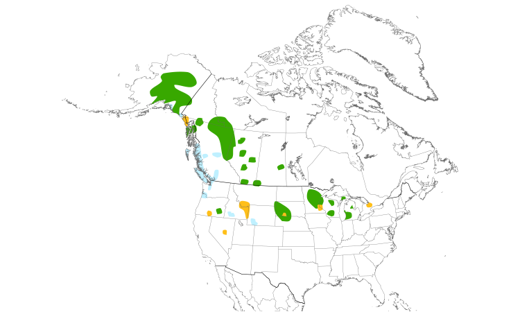 Range Map (North): Trumpeter Swan