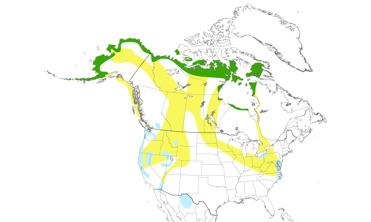 Range Map (North): Tundra Swan