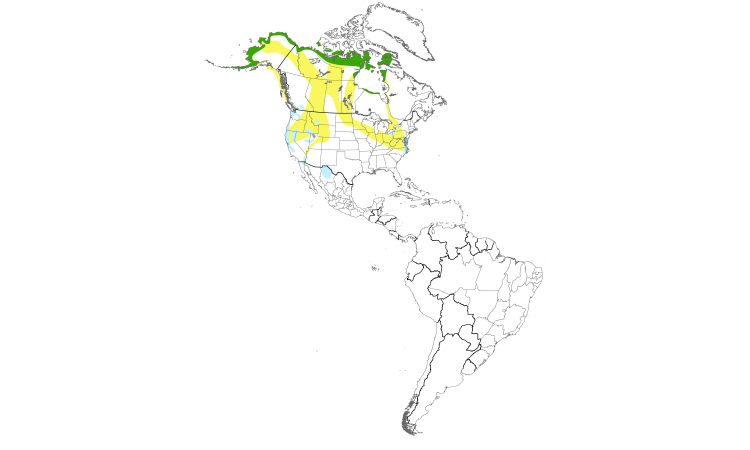 Range Map (Americas): Tundra Swan