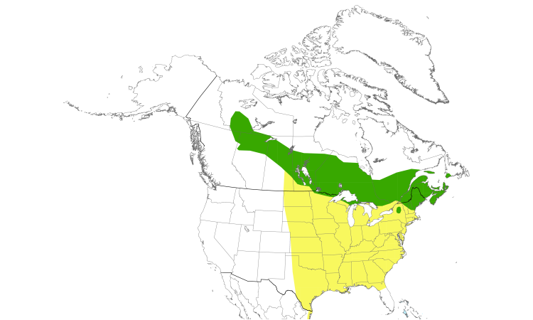 Range Map (North): Bay-breasted Warbler
