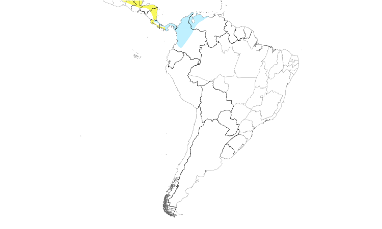 Range Map (South): Bay-breasted Warbler