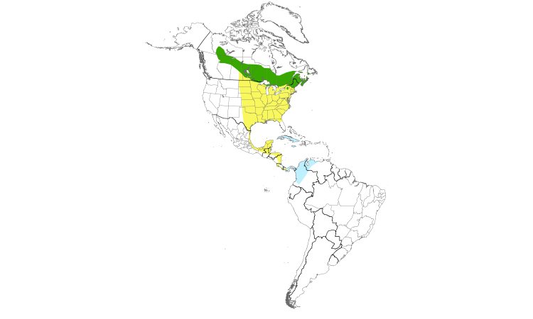 Range Map (Americas): Bay-breasted Warbler