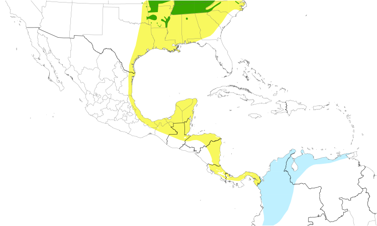 Range Map (Central): Cerulean Warbler