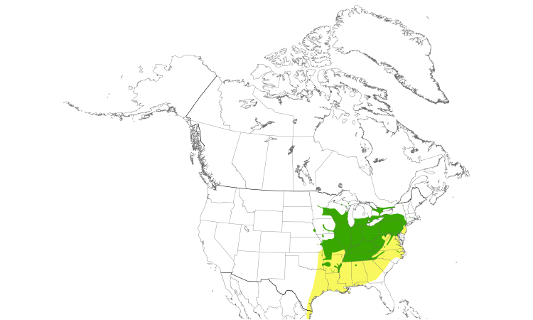 Range Map (North): Cerulean Warbler