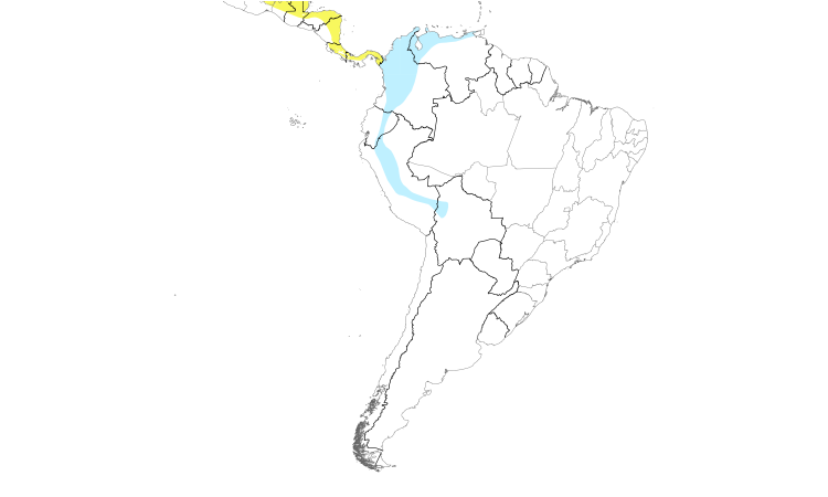 Range Map (South): Cerulean Warbler