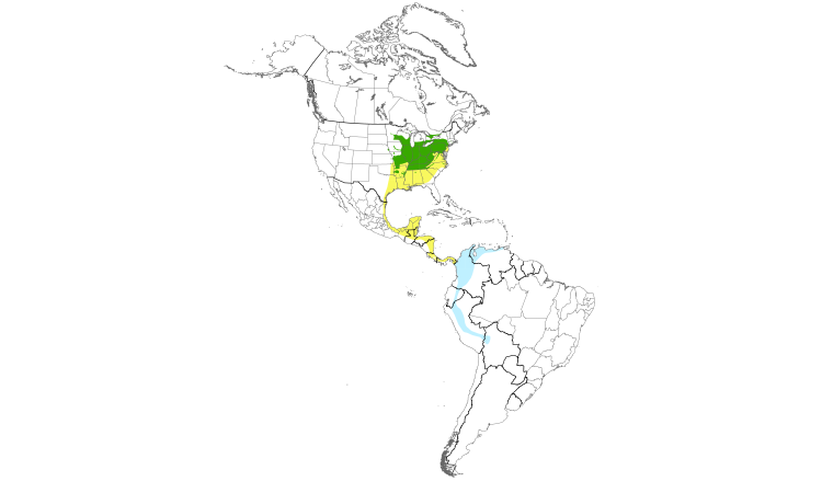 Range Map (Americas): Cerulean Warbler