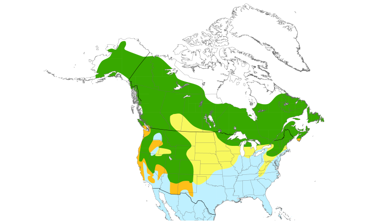 Range Map (North): Yellow-rumped Warbler