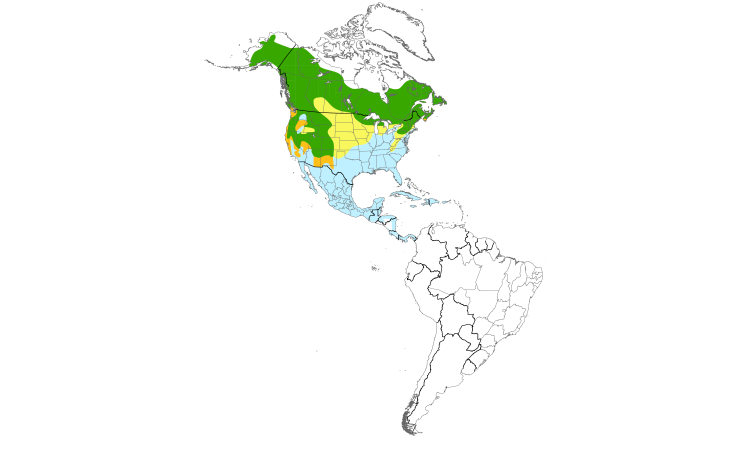 Range Map (Americas): Yellow-rumped Warbler