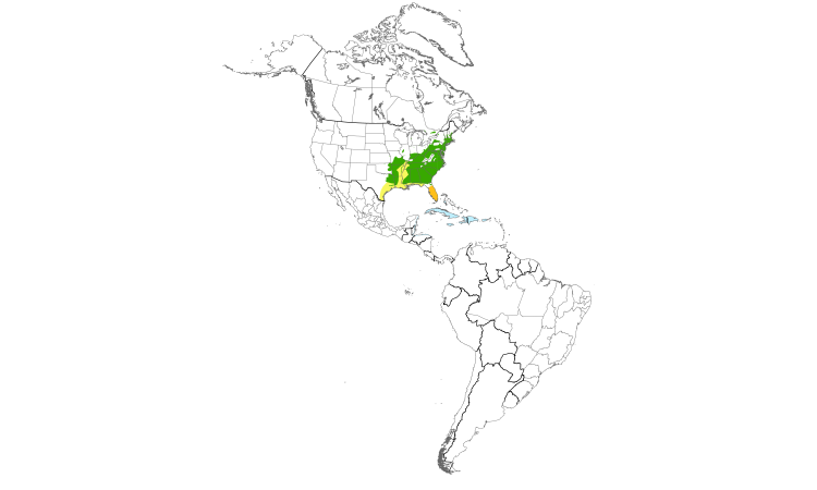 Range Map (Americas): Prairie Warbler