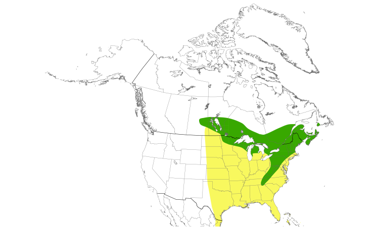 Range Map (North): Blackburnian Warbler