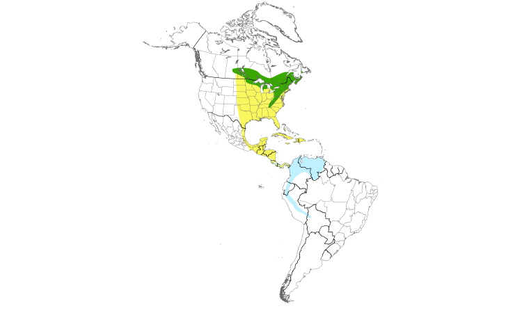 Range Map (Americas): Blackburnian Warbler