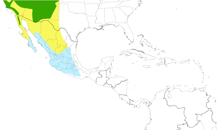 Range Map (Central): Black-throated Gray Warbler