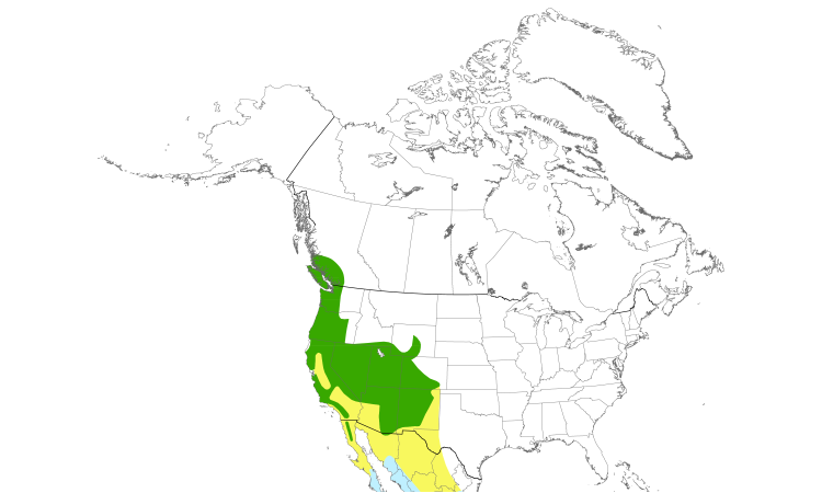 Range Map (North): Black-throated Gray Warbler