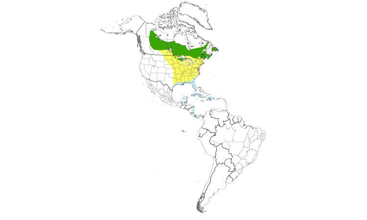 Range Map (Americas): Palm Warbler