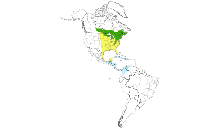 Range Map (Americas): Chestnut-sided Warbler
