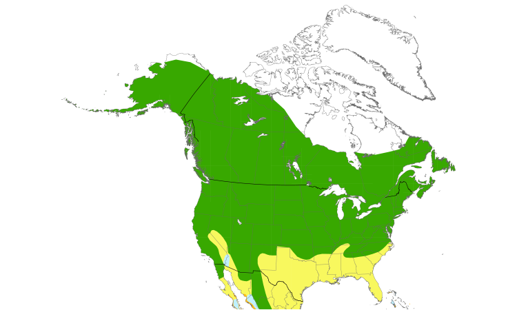 Range Map (North): Yellow Warbler