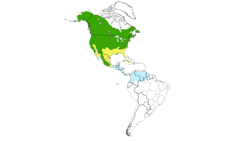 Range Map (Americas): Yellow Warbler