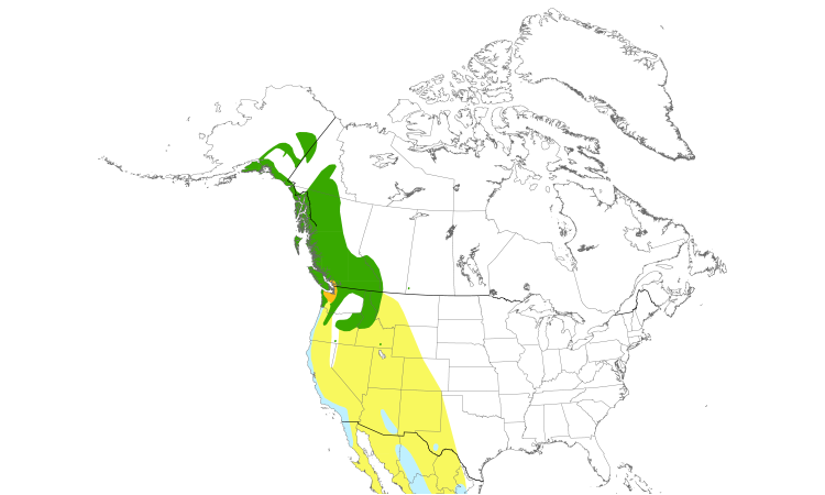 Range Map (North): Townsend's Warbler