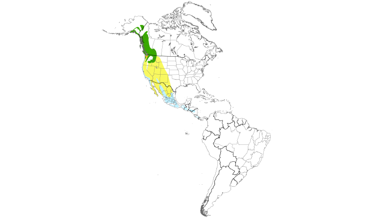 Range Map (Americas): Townsend's Warbler