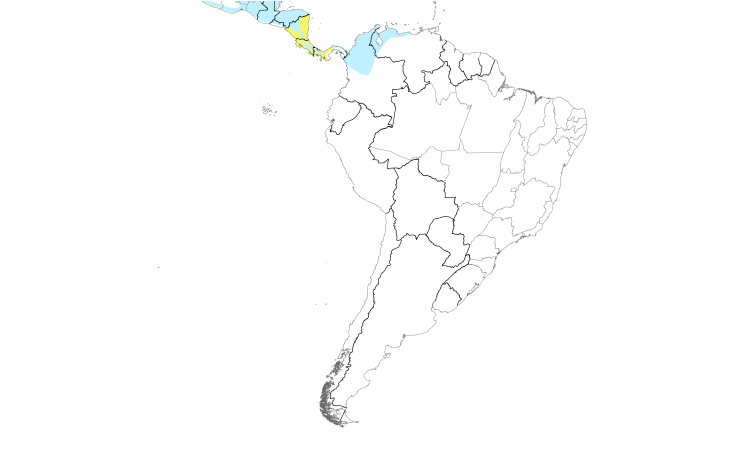 Range Map (South): Black-throated Green Warbler