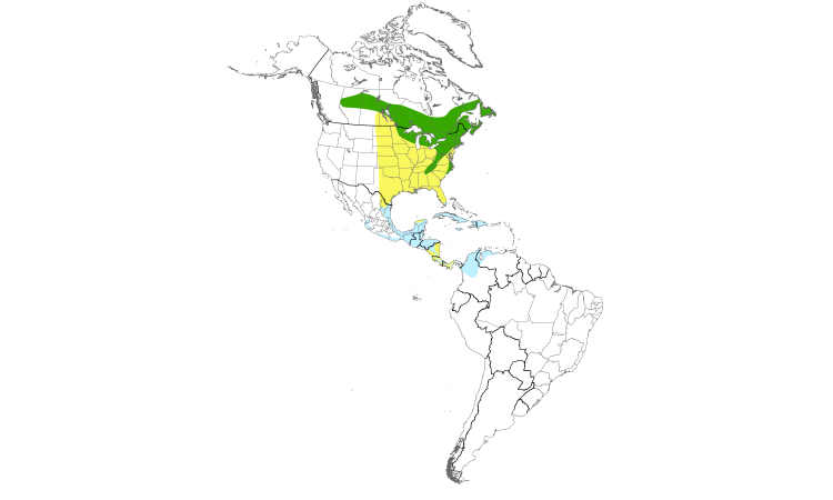 Range Map (Americas): Black-throated Green Warbler