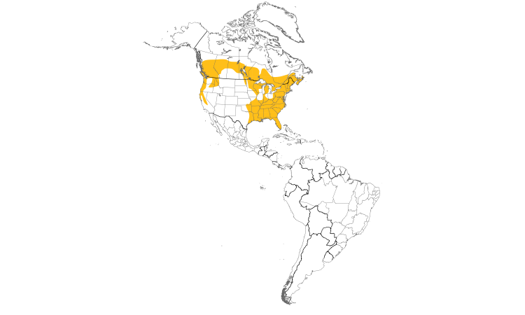 Range Map (Americas): Pileated Woodpecker