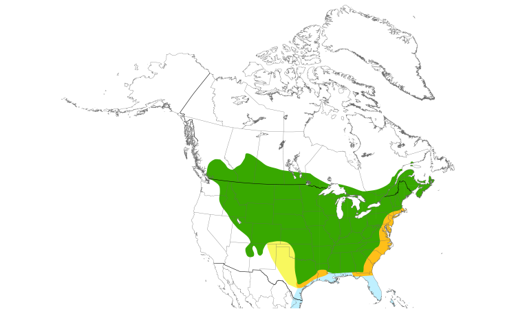 Range Map (North): Gray Catbird