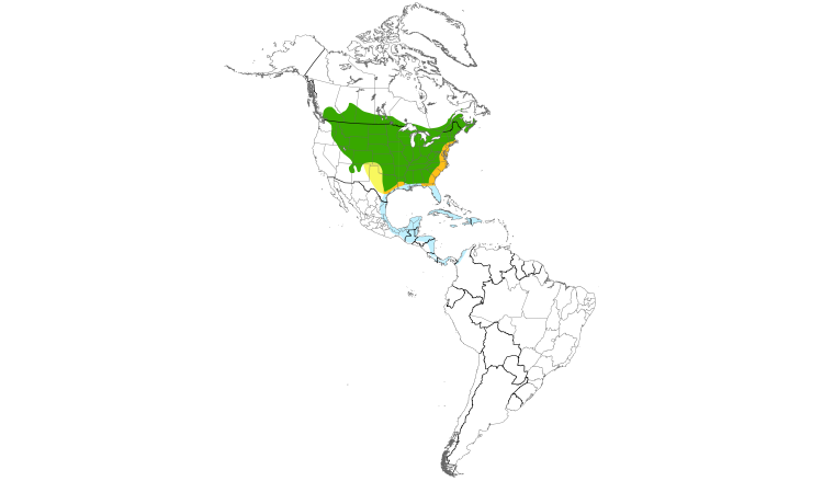 Range Map (Americas): Gray Catbird