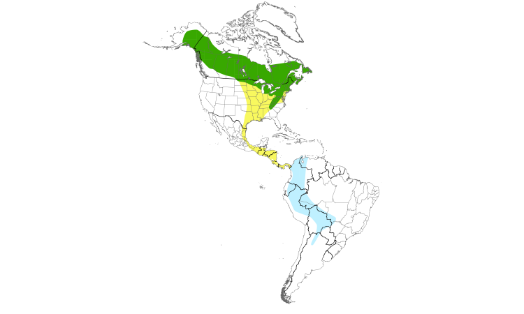 Range Map (Americas): Alder Flycatcher